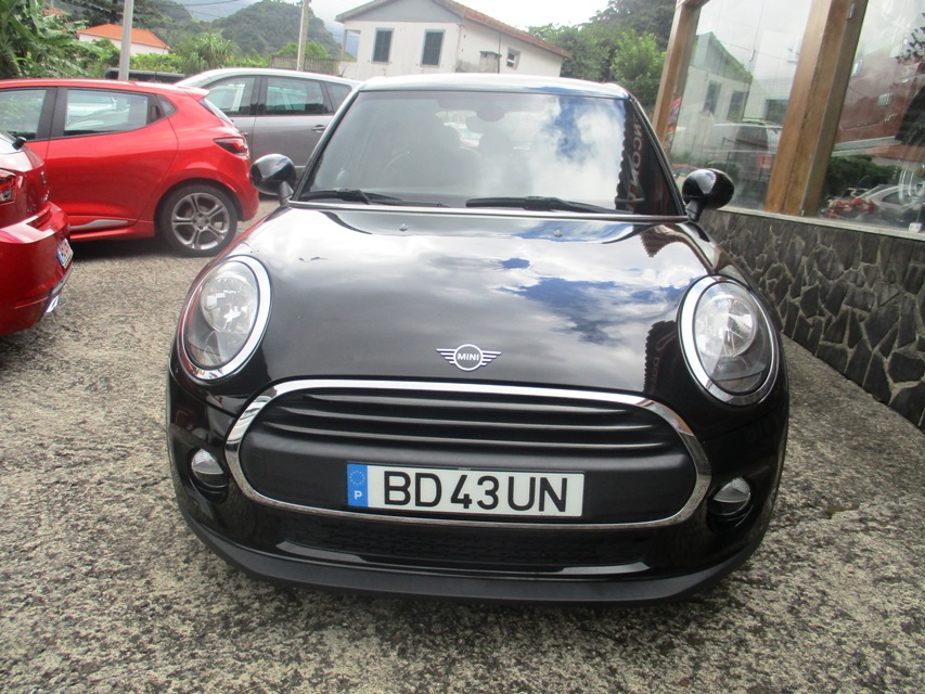 Mini ONE D