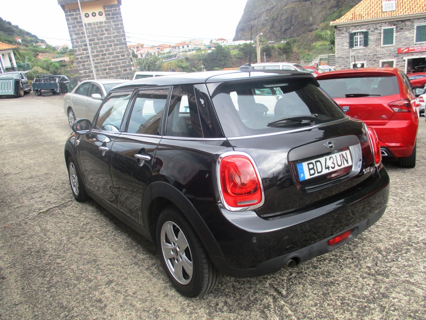 Mini ONE D