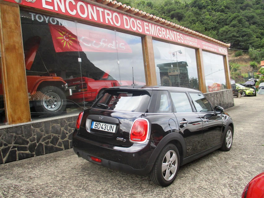 Mini ONE D